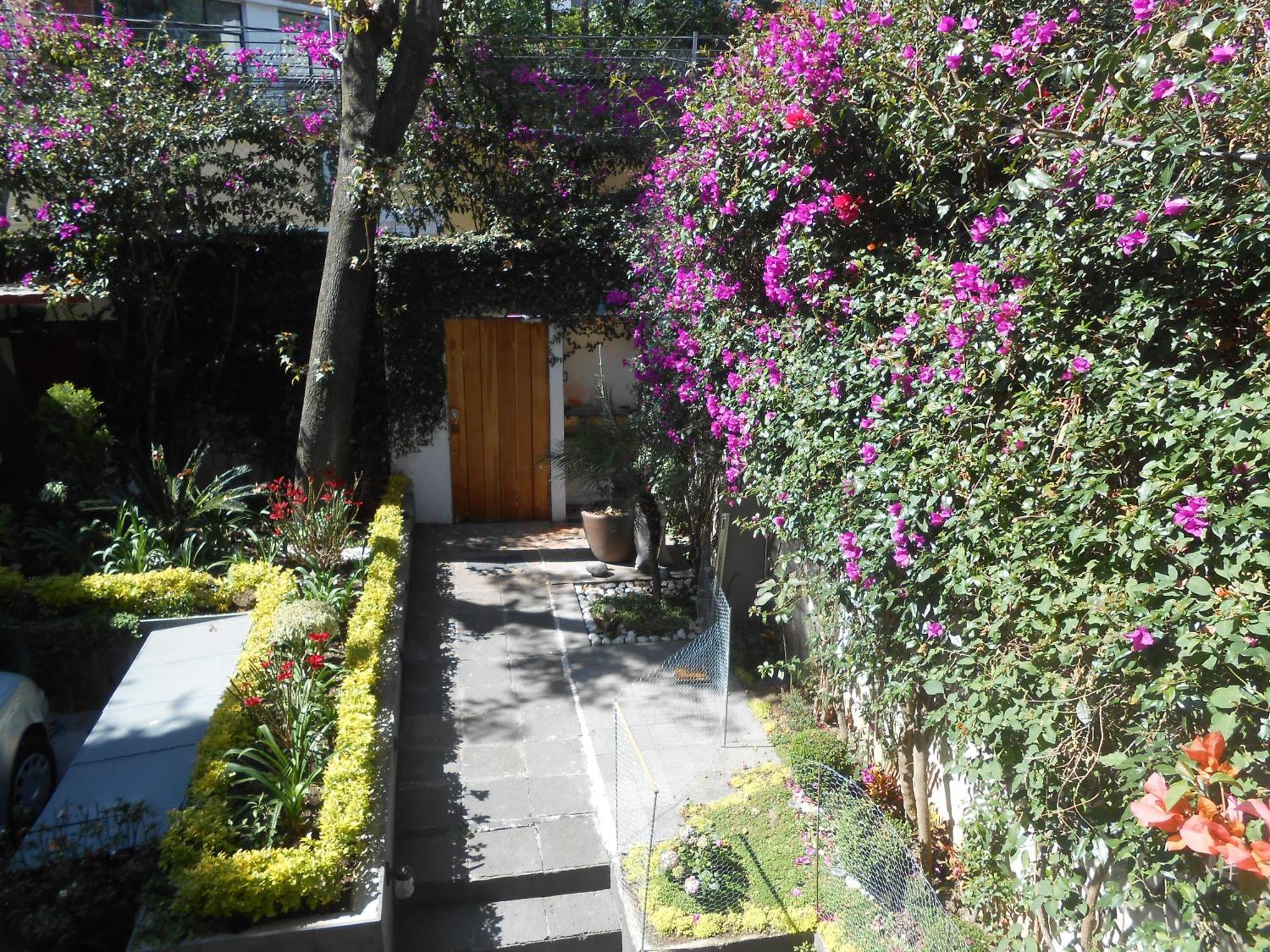 Apartamento Terraza & Loft San Angel México DF Exterior foto