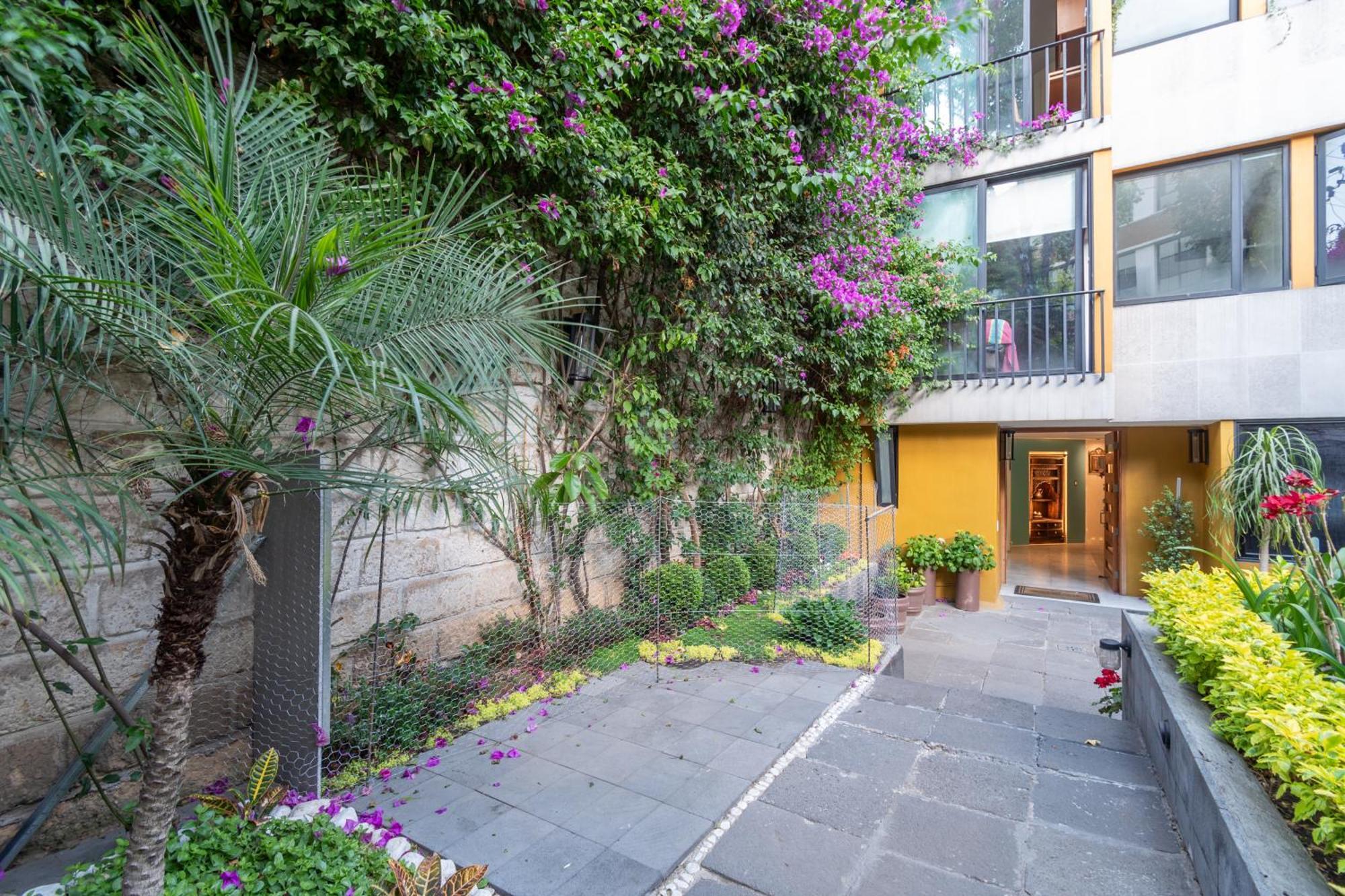 Apartamento Terraza & Loft San Angel México DF Exterior foto