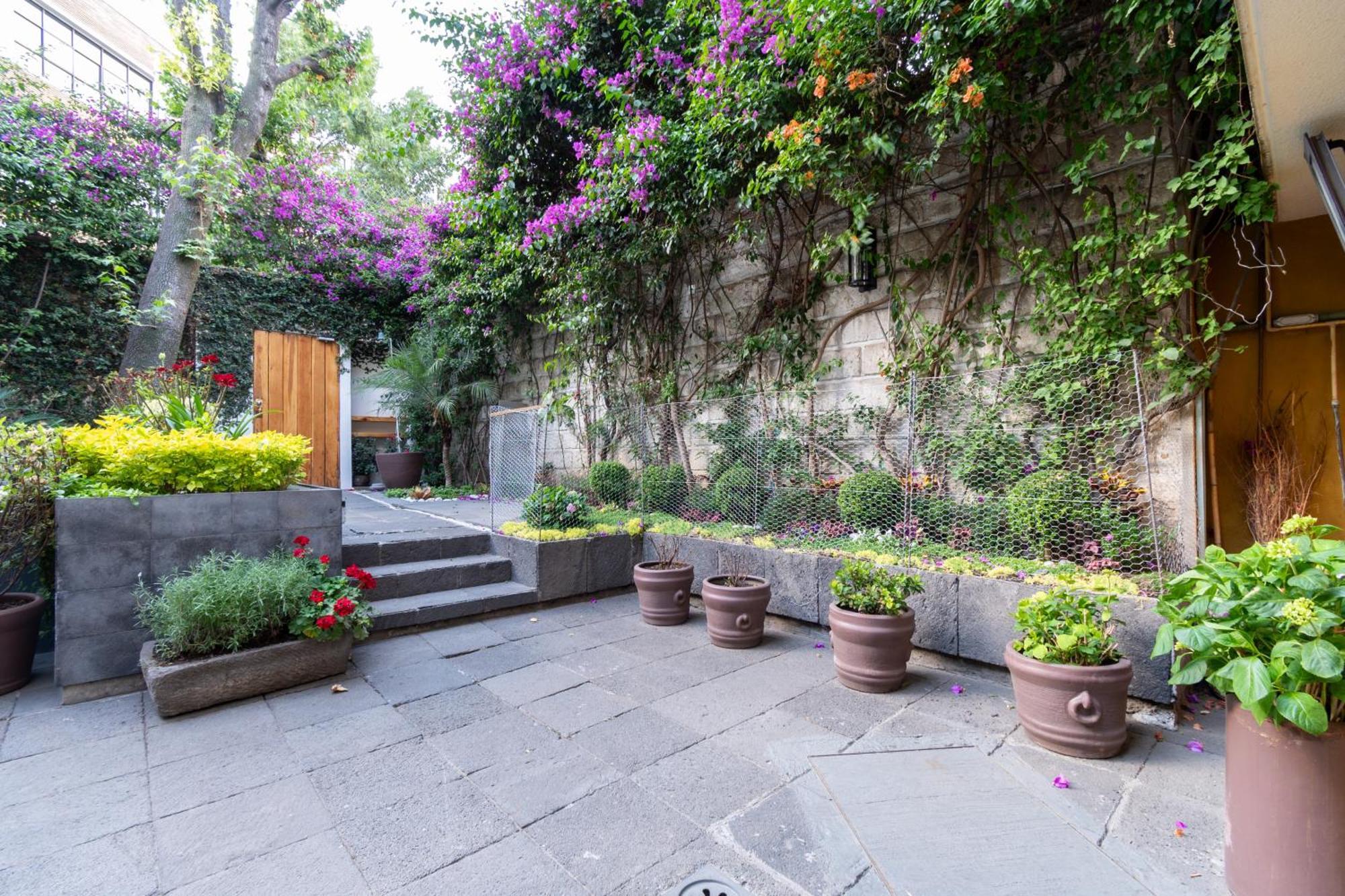 Apartamento Terraza & Loft San Angel México DF Exterior foto